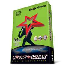 Luckystar CS230 A4 80GSM 450'S Colour Paper-Dark Green