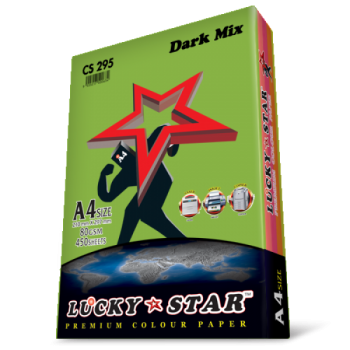 Luckystar CS295 A4 80GSM 450'S Colour Paper-Dark Mix