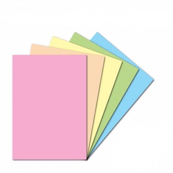 Pink Colour Manila Card 220gsm